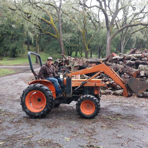 Meet your Posher, George - Picture 1 of 1